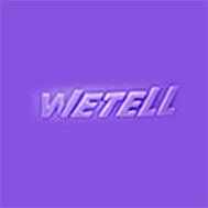 WETELL GROUP
